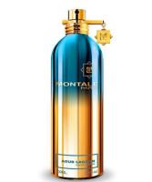 MONTALE AOUD LAGOON парфюмерная вода (унисекс) 100ml