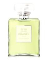 CHANEL №19 POUDRE парфюмерная вода (женские) 100ml *Tester