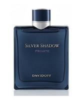 DAVIDOFF SILVER SHADOW PRIVATE туалетная вода (мужские) 100ml *Tester