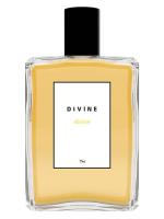 DIVINE DIVINE парфюмерная вода (женские) 100ml