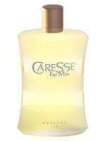 EVAFLOR CARESSE POUR HOMME туалетная вода (мужские) 100ml