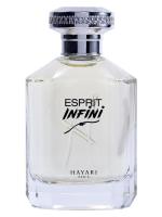 HAYARI PARFUMS ESPRIT INFINI парфюмерная вода (унисекс) 70ml Tester