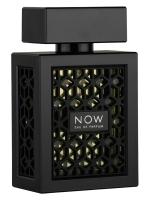 RAVE NOW парфюмерная вода (мужские) 10ml ОТЛИВАНТ