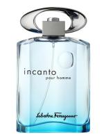 SALVATORE FERRAGAMO INCANTO BLUE туалетная вода (мужские) 100ml