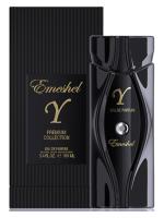 EMESHEL EMESHEL Y парфюмерная вода (мужские) 100ml