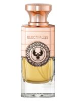 ELECTIMUSS AUSTER духи (унисекс) 100ml Tester