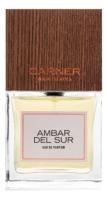 CARNER BARCELONA AMBAR DEL SUR парфюмерная вода (унисекс) 10ml ОТЛИВАНТ