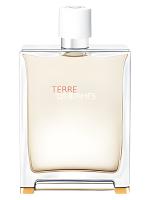 HERMÈS TERRE D HERMES EAU TRES FRAICHE (мужские) 125ml