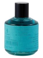 PARIS CORNER A CHAOS IN THE OCEAN парфюмерная вода (мужские) 100ml Tester