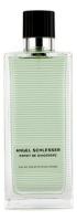 ANGEL SCHLESSER ESPRIT de GINGEMBRE туалетная вода (мужские) 50ml *Tester