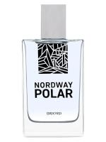BROCARD NORDWAY POLAR туалетная вода (мужские) 100ml Tester