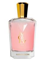 ORLOV PARIS BURNING DESIRE парфюмерная вода (женские) 75ml Tester