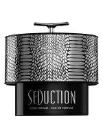 ARMAF SEDUCTION POUR HOMME парфюмерная вода (мужские) 100ml Tester