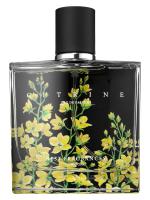 NEST CITRINE парфюмерная вода (женские) 10ml ОТЛИВАНТ