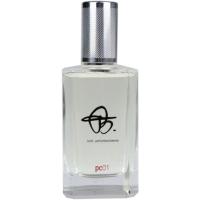 BIEHL. PARFUMKUNSTWERKE PC01 парфюмерная вода (унисекс) 100ml