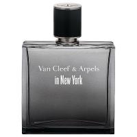 VAN CLEEF & ARPELS IN NEW YORK туалетная вода (мужские) 125ml *Tester