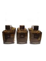 CHAUGAN TERRE DE PERSE парфюмерная вода (унисекс) 100ml
