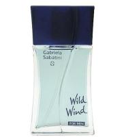 GABRIELA SABATINI WILD WIND туалетная вода (мужские) 100ml