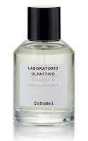 LABORATORIO OLFATTIVO COZUMEL парфюмерная вода (мужские) 100ml Tester