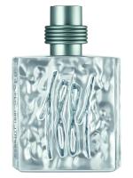 CERRUTI 1881 SILVER M туалетная вода (мужские) 100ml
