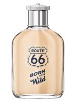 ROUTE 66 BORN TO BE WILD туалетная вода (мужские) 100ml Tester
